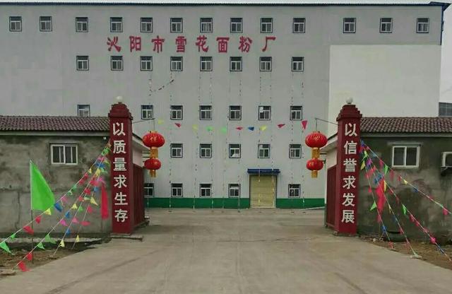 面粉哪个品牌的质量好知乎（面粉哪个品牌的质量好中国）