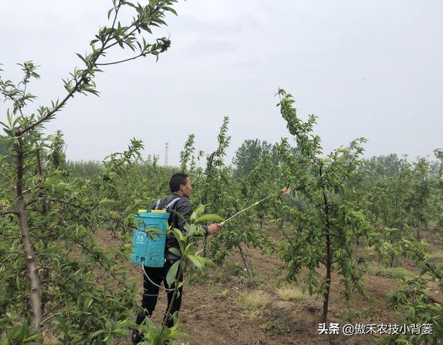 小背篓加盟费多少（小背篓加盟店）