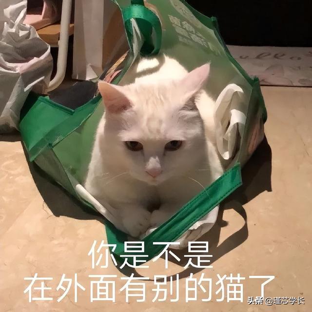 抖音最近很火的图片公主（抖音最近很火的图片可以制作视频的）