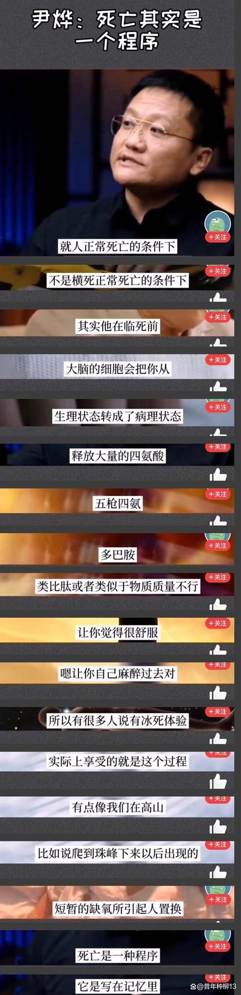 什么是程序设计，什么是程序设计语言？