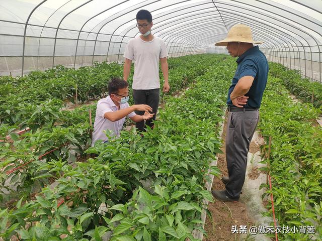 小背篓加盟费多少（小背篓加盟店）