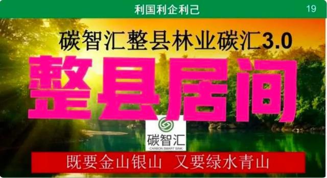 小额投资什么最赚钱又安全可靠，小额投资什么最赚钱又安全又可靠？