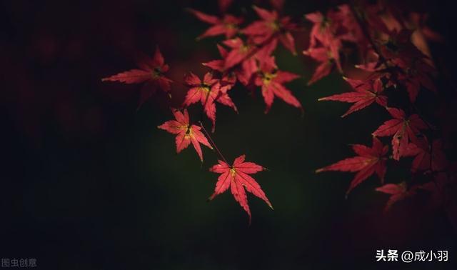 不怎发朋友圈的女孩，从不发朋友圈的女生性格？