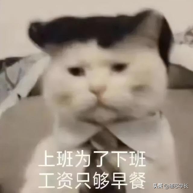 抖音最近很火的图片公主（抖音最近很火的图片可以制作视频的）