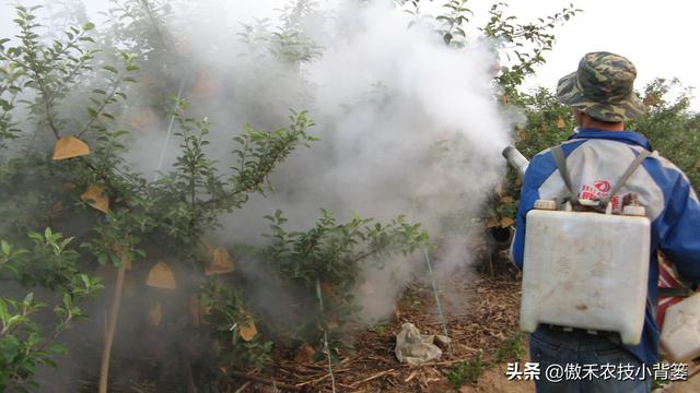 小背篓加盟费多少（小背篓加盟店）