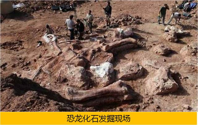 什么是化石_（什么是化石燃料英文回答）
