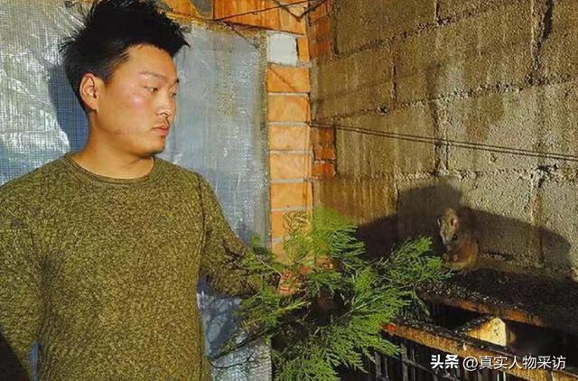 特种养殖项目有哪些，特种养殖项目有哪些手续？？