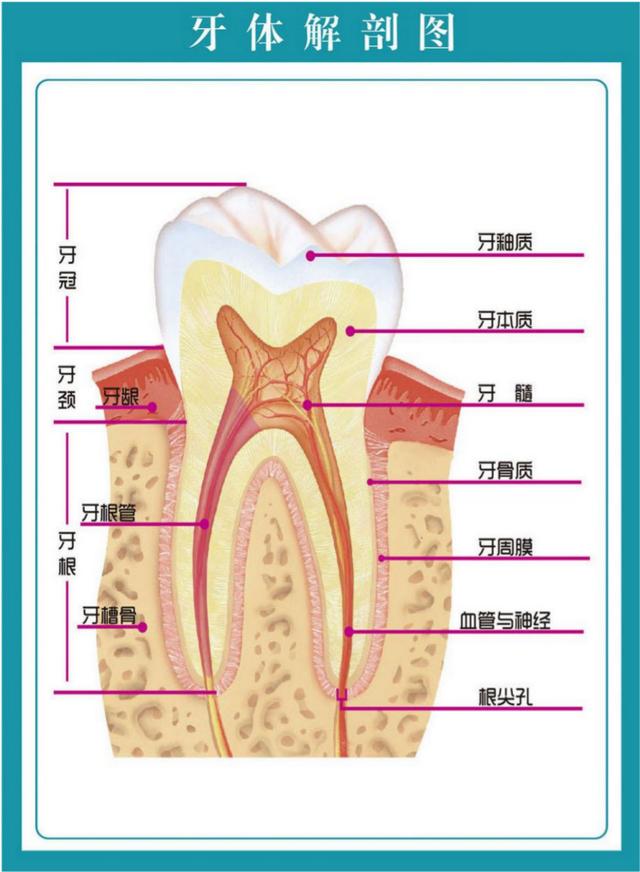 表示牙痛的朋友圈图片，牙疼发朋友圈配图_痛苦