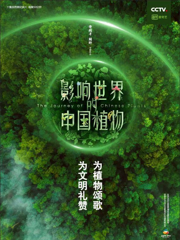 纪录片在哪个平台看不要钱纪录片在哪个平台看不要钱c纪录片在哪个平台看（纪录片在哪个平台看不要钱）