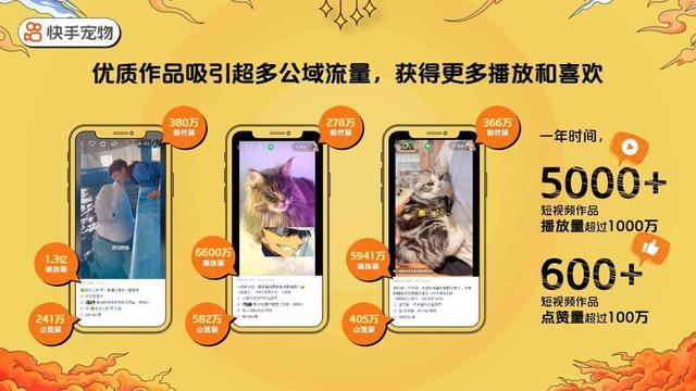 快手直播怎么开启猫粮，快手鱼粮有什么用？