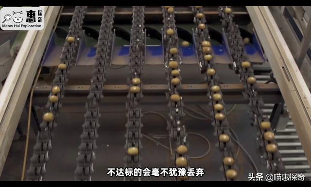 黄金奇异果的功效与作用是下火的吗（佳沛黄金奇异果的功效与作用）