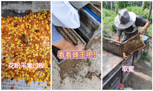 快手号出售平台网站正规，快手号出售平台网站正规么？
