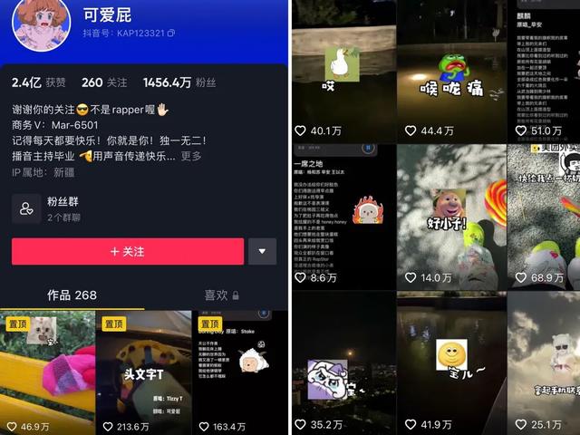 0天涨粉570W，全靠“不露脸”？"