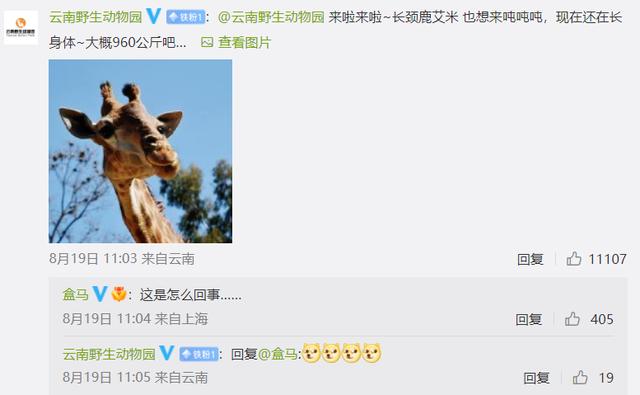 盒马直播_彩_live充值，盒马直播彩live充值卡密？