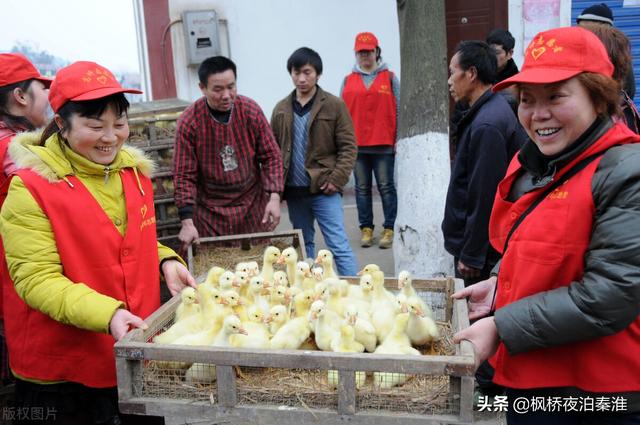 女销售业绩好，女销售为了业绩也是拼了？