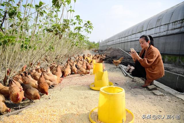 想在家搞养殖有什么好项目可以做，在家搞养殖什么项目好一点？