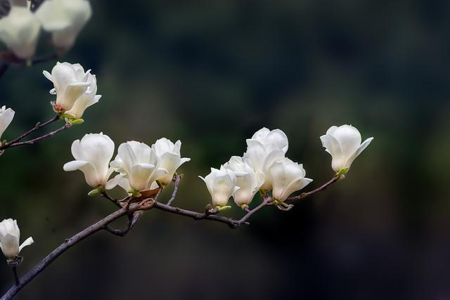 为了生活努力奋斗挣钱的句子朋友圈，为了生活努力奋斗挣钱的句子朋友圈文案？