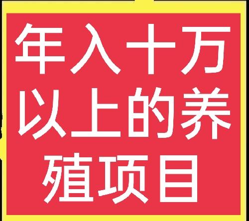 创业养殖致富项目大全，致富经创业项目养殖？