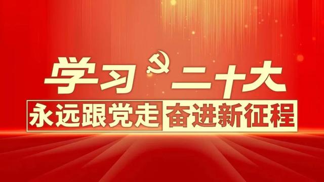 抖音最火系鞋带高帮帆布鞋，抖音最火系鞋带小白鞋？