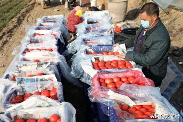农村电商平台怎么加入，农村电商平台怎么加入要花多少钱？