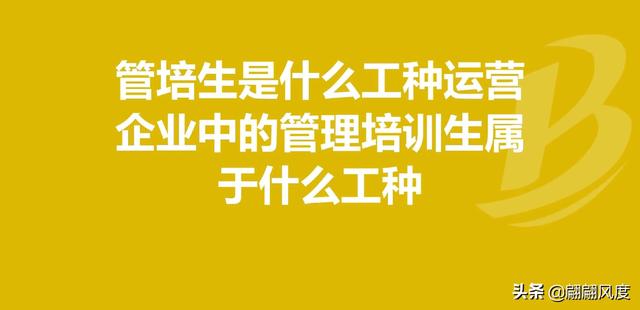 房地产公司管培生怎么样，房地产营销管培生是销售吗？