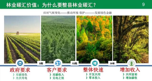 小额投资什么最赚钱又安全可靠，小额投资什么最赚钱又安全又可靠？