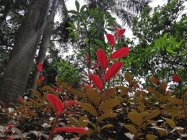 孔子三十而立四十不惑五十知天命原文作文（孔子三十而立四十不惑五十知天命原文课件）