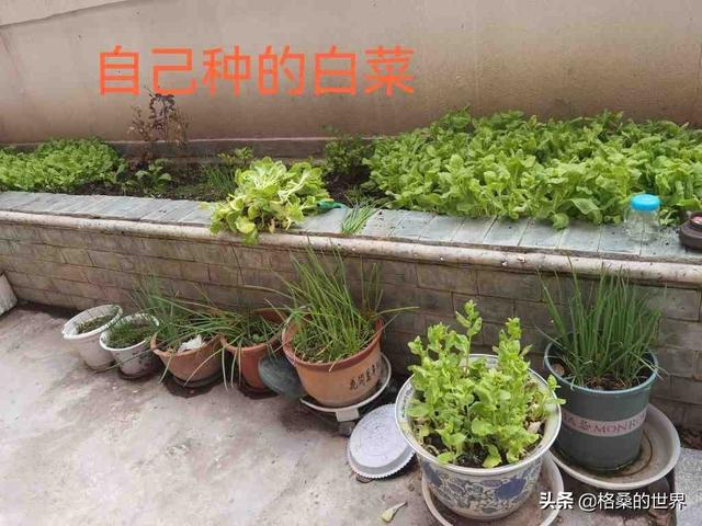 适合负债者的10个副业项目有哪些，适合负债者的10个副业项目是什么？