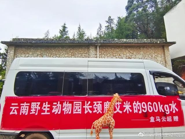 盒马直播_彩_live充值，盒马直播彩live充值卡密？