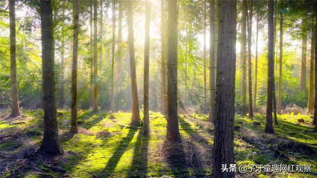 抖音个人简介怎么写才吸引人，抖音个人简介怎么写吸引粉丝？