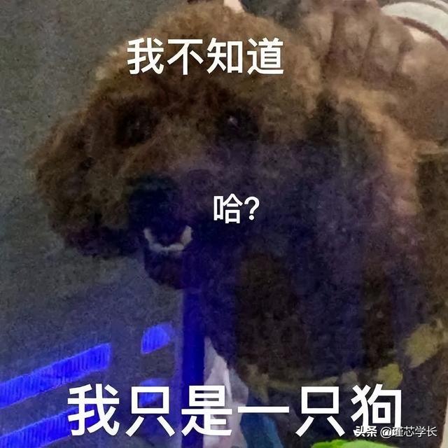 抖音最近很火的图片公主（抖音最近很火的图片可以制作视频的）