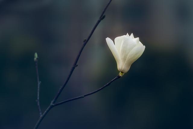 为了生活努力奋斗挣钱的句子朋友圈，为了生活努力奋斗挣钱的句子朋友圈文案？