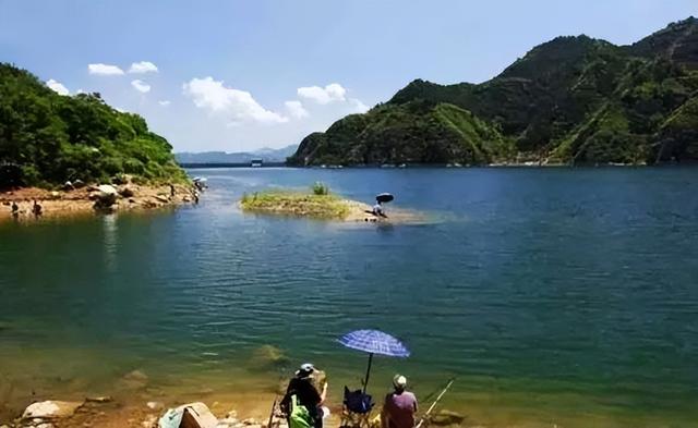 金牌全鱼道（全鱼道金牌私房鱼官网）