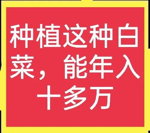 种植什么赚钱快不愁卖云南，种植什么赚钱快不愁卖,好管理!？