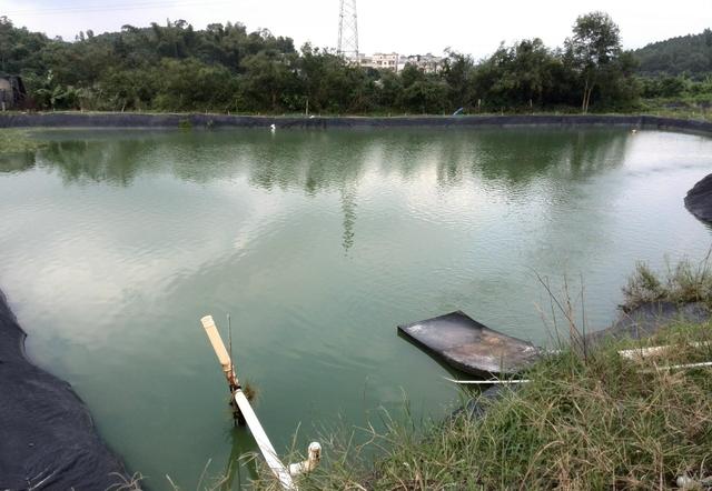小面积养殖什么最挣钱呢知乎，小面积养殖什么最挣钱呢图片？