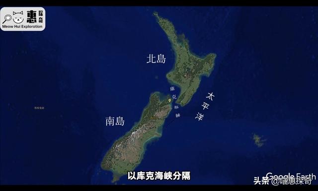 黄金奇异果的功效与作用是下火的吗（佳沛黄金奇异果的功效与作用）