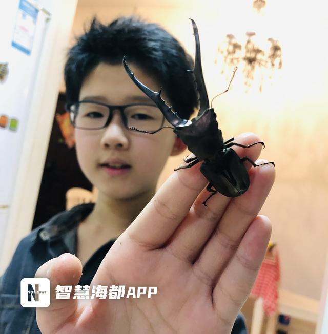 抖音号好看的英文名，好听的抖音号昵称英文名？