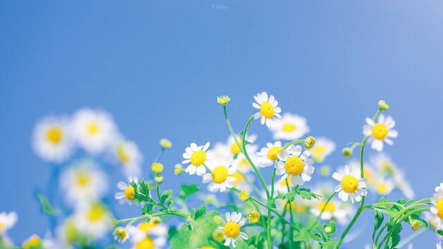 每天发朋友圈的经典语句，朋友圈经典语录分享？