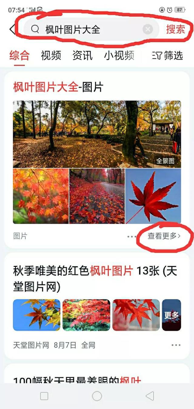 闲鱼视频怎么保存到手机本地，视频保存教程？