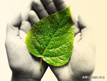 做销售的基本要求，做销售的基本要求有哪些？