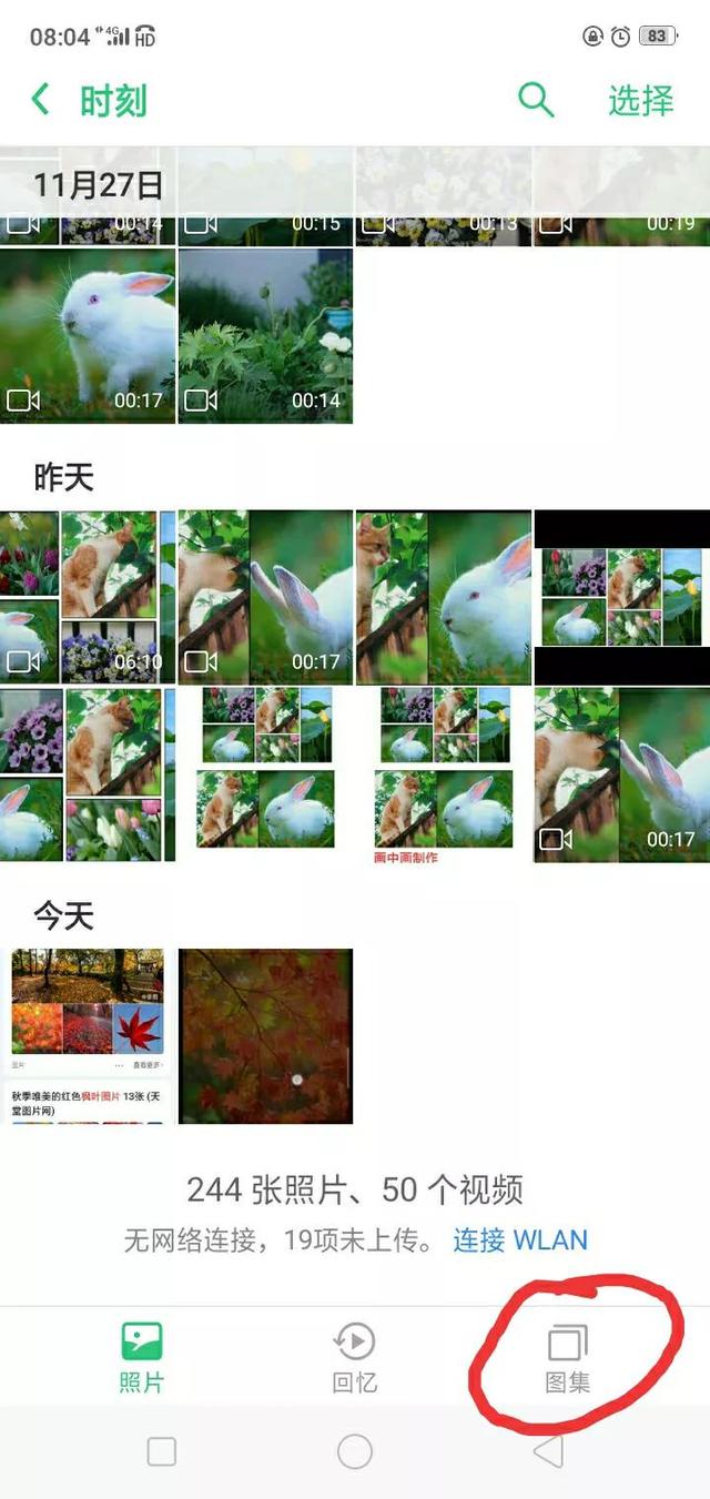 闲鱼视频怎么保存到手机本地，视频保存教程？
