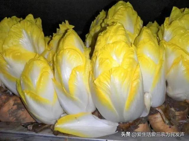超级赚钱的项目，超级赚钱的项目有哪些？