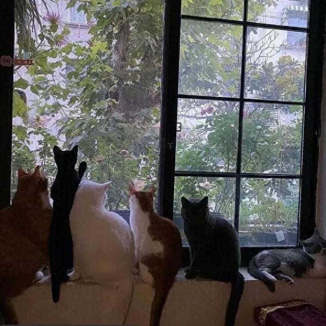 赚钱的说说语录，赚钱的说说语录短句？
