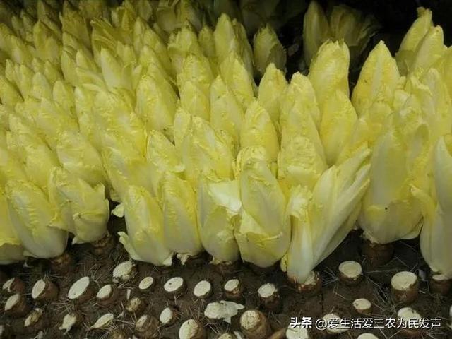 超级赚钱的项目，超级赚钱的项目有哪些？