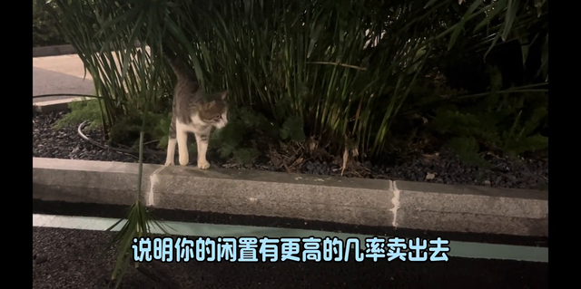 咸鱼怎么卖闲置，咸鱼怎么卖闲置东西怎么发货-？